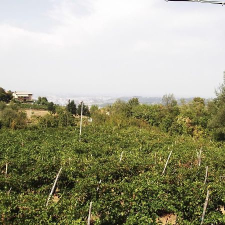 Villa La Panoramica Perarolo Exterior foto